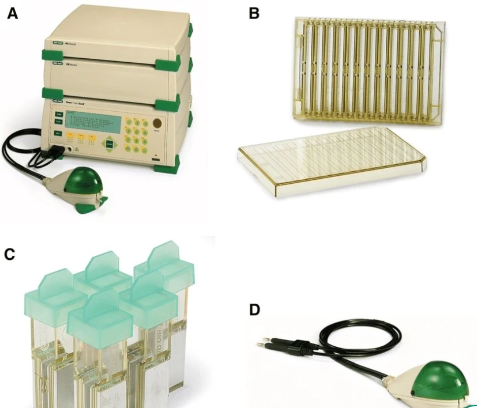 伯樂電穿孔系統(tǒng)擦操作指南