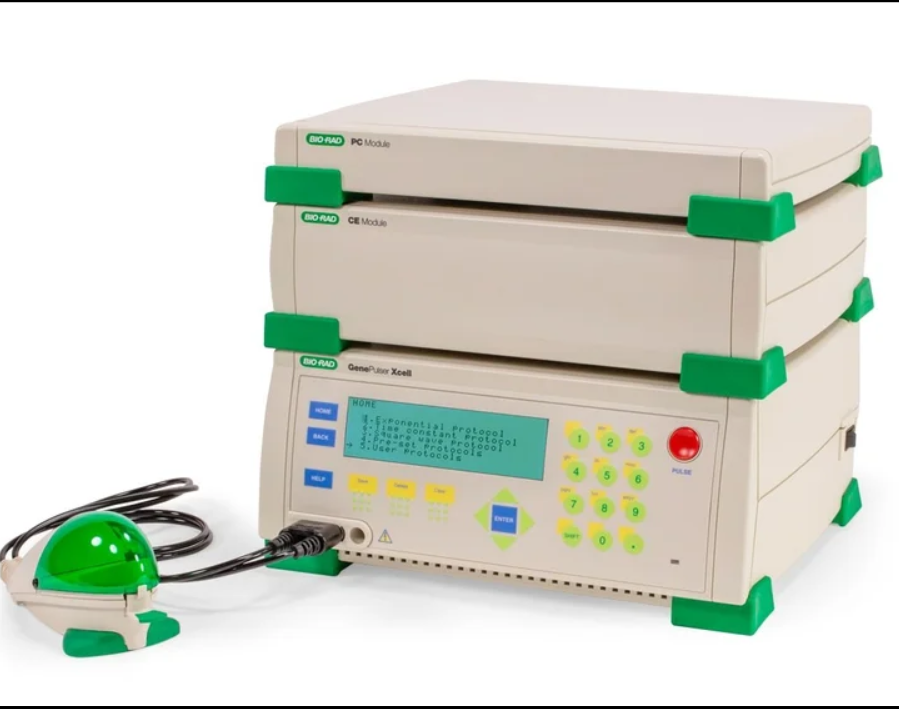 伯樂電穿孔儀系統(tǒng)（型號(hào)1652660）詳解