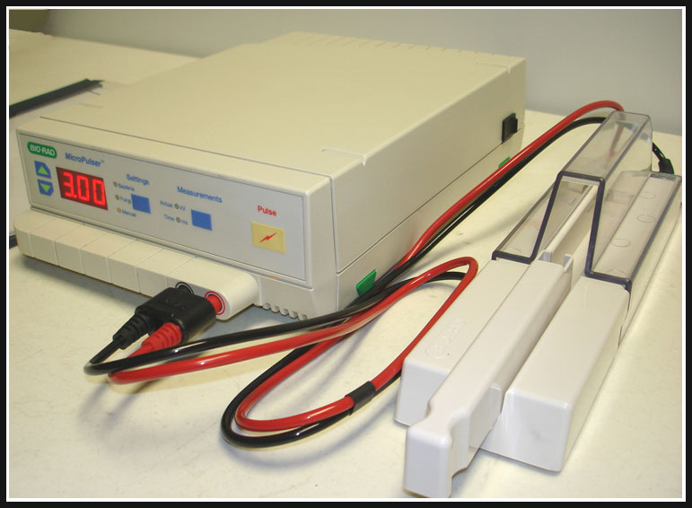 伯樂電穿孔儀1652660